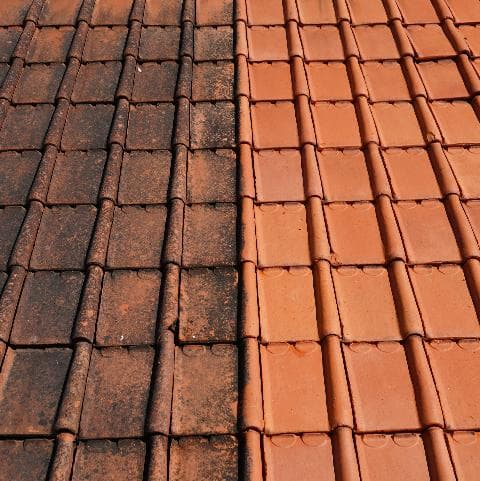 Tuiles en terre cuite sales et moussues contrastant avec des tuiles propres et orange vif.