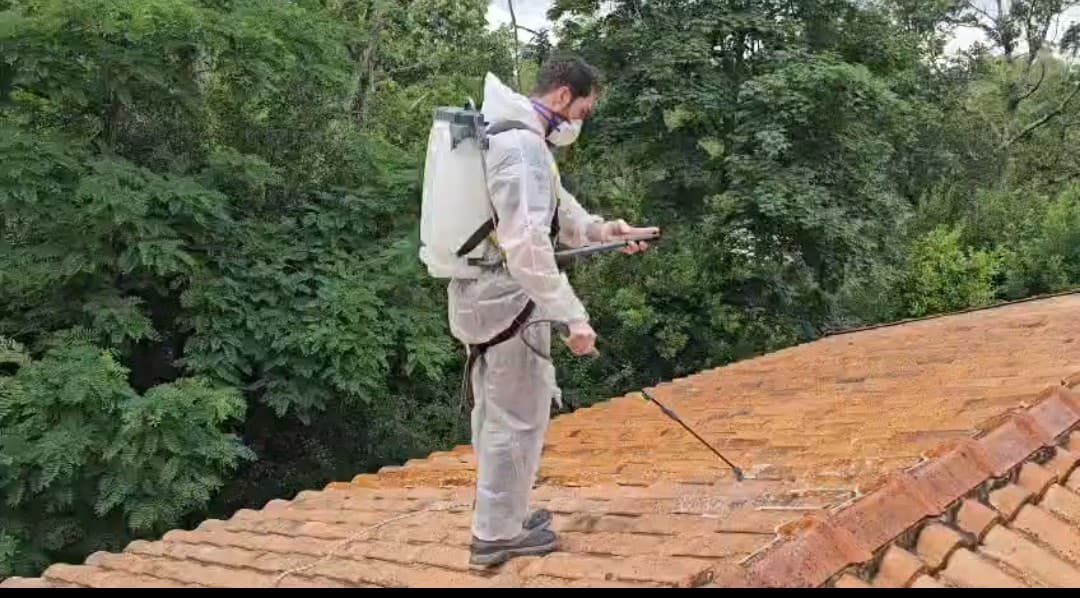 Homme en combinaison de protection pulvérisant un toit en tuiles avec un pulvérisateur à dos.